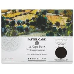 Sennelier La Carte Pastel Card -DRAWING SUPPLIES shop 10749 2006 M 4ww
