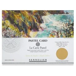 Sennelier La Carte Pastel Card -DRAWING SUPPLIES shop 10749 4146 M 4ww