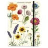 Cavallini Wildflower Large Notebook