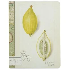 Alibabette Editions Paris Lined Journals