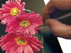 Ampersand Scratchbord -DRAWING SUPPLIES shop 14914 flower art3ww l