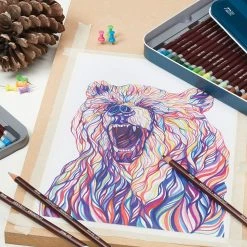 Derwent Coloursoft Pencils And Sets -DRAWING SUPPLIES shop 22064 art v 4 4ww