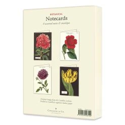 Cavallini Botanical Boxed Note Cards -DRAWING SUPPLIES shop 75385 1001 5 4ww
