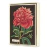 Cavallini Botanical Boxed Note Cards -DRAWING SUPPLIES shop 75385 1001 M 4ww