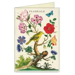 Cavallini Floreale Boxed Note Cards -DRAWING SUPPLIES shop 75385 1012 3 4ww