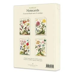 Cavallini Floreale Boxed Note Cards -DRAWING SUPPLIES shop 75385 1012 5 4ww